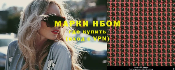 прущие грибы Алексеевка