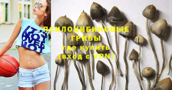 прущие грибы Алексеевка