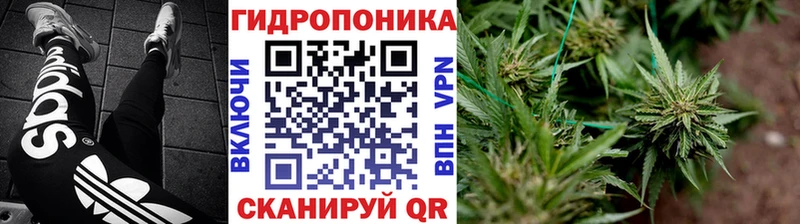 МАРИХУАНА планчик  Сосенский 